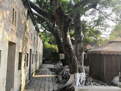 -胡里山炮台