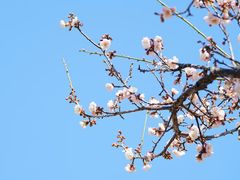 -广州市流溪河国家森林公园