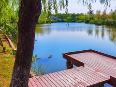 -上海长兴岛郊野公园