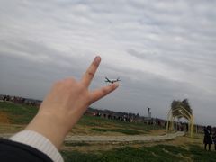 -空港花田景区