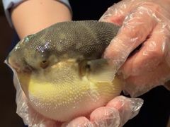 -肆月河豚·淮扬菜·湘菜(华天店)