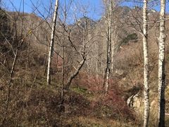 -终南山国家森林公园