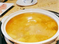 -先机泉水鸡汤(南山老君洞店)