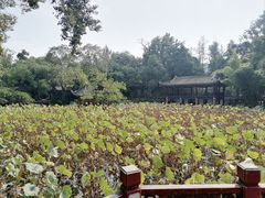 -房湖公园