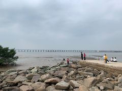 -宝安西湾红树林湿地公园