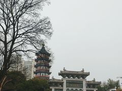 -绳金塔