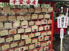 -野宫神社