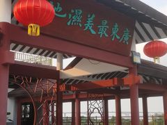 -大湾区中央湿地公园