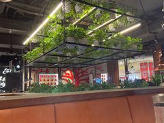 -猫爪爪原切自助烤肉(观音桥阳光世纪店)