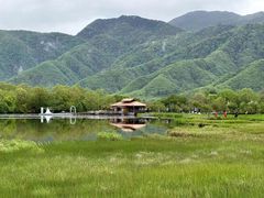-大九湖