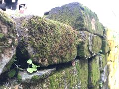 -新安江山水画廊风景区