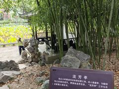 -包公祠