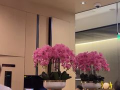 -海底捞火锅(金光华店)