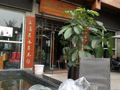 -成都市活水公园