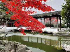 -秋霞圃