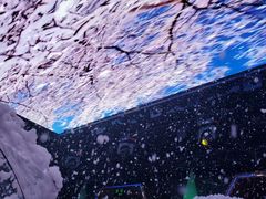 -M-MIX电音烤吧