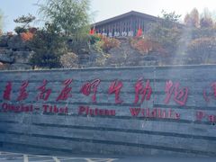 -青藏高原野生动物园