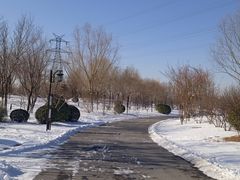 -水西公园