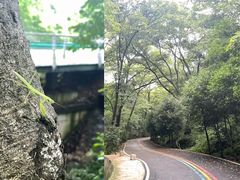 -老山国家森林公园