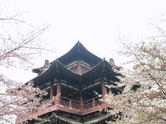 -西安青龙寺遗址景区
