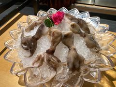 -煲宫猪肚鸡(晶品店)