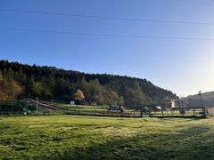 -武陵山森林公园