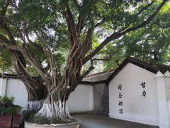 -长洲岛