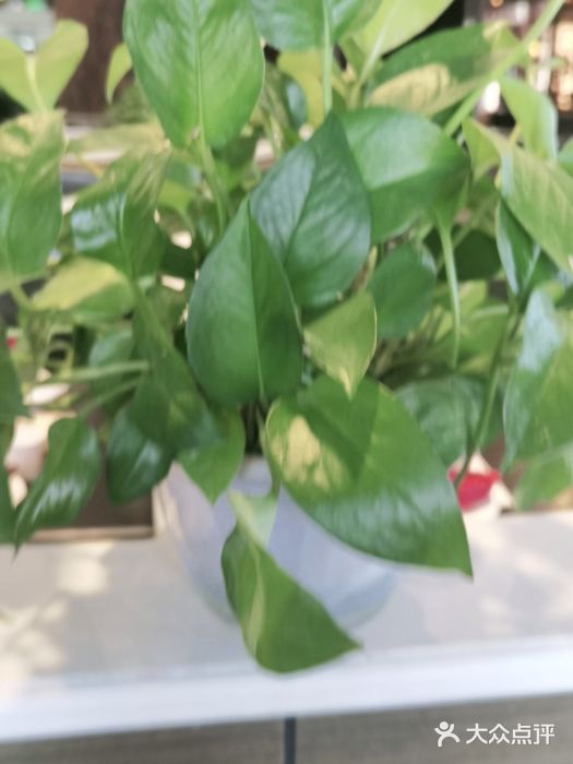 老牌坊鲁菜名店(美莲广场店)图片
