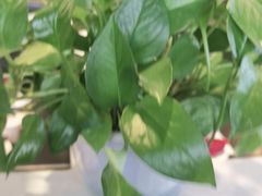 -老牌坊鲁菜名店(美莲广场店)