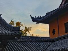 -灵谷景区