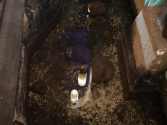 -淀里船宴(卓达店)