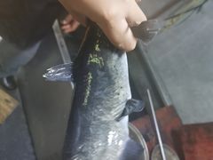 -生态苑农庄(十里画廊遇龙河店)