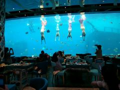 -瑞德姆美人鱼海底演艺主题餐厅(亚龙湾店)