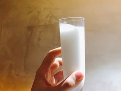 -探窝·竹笙椰子鸡(杨箕店)