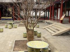 -宫事颐庭·老佛爷贵寿下午茶(颐和园店)