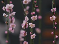 -静安雕塑公园