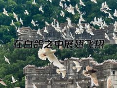 -音乐台