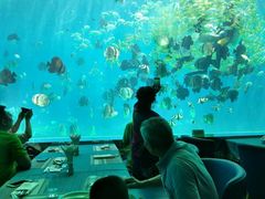 -瑞德姆美人鱼海底演艺主题餐厅(亚龙湾店)