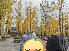 -百林公园-两江幸福广场
