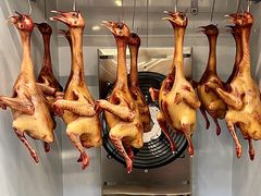 -不炭白烧烤(成都首店)