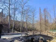 -白水寺森林公园
