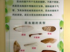 -上海昆虫博物馆