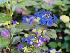 -常州古运河南大街文化旅游区-人民公园