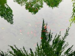 -趵突泉景区