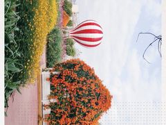 -玫瑰小镇