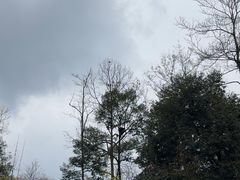 -中国大熊猫保护研究中心雅安碧峰峡基地