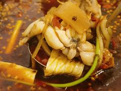 -鸿顺老铁锅美蛙鱼府(解放碑店)