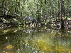 -牛背梁国家森林公园