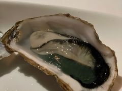 -Oyster Talks 四度蚝法餐厅