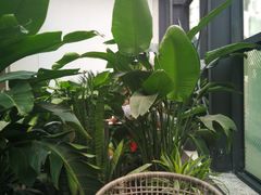 -大树餐厅(红旗街万达店)